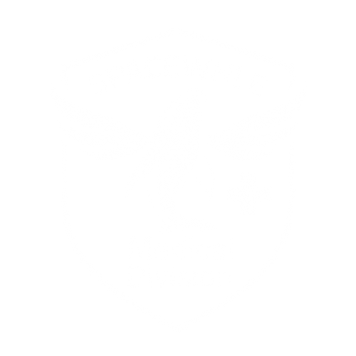 Medical Division